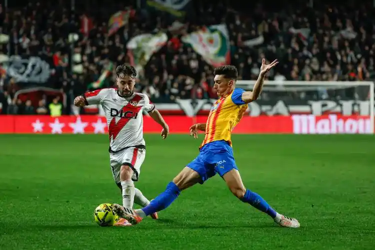 雨燕直播体育免费直播